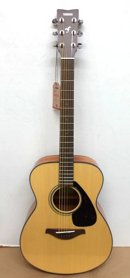 Acoustic guitar amp ra-10