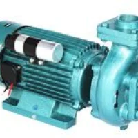 Clean Water Pump