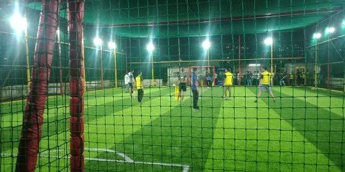 Artificial Turf/synthetic Turf