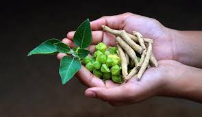 Ashwagandha Powder