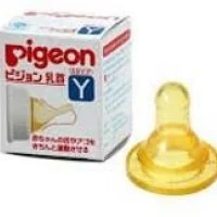 Boston Sports Water Bottle