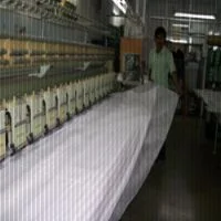 Parchment Paper