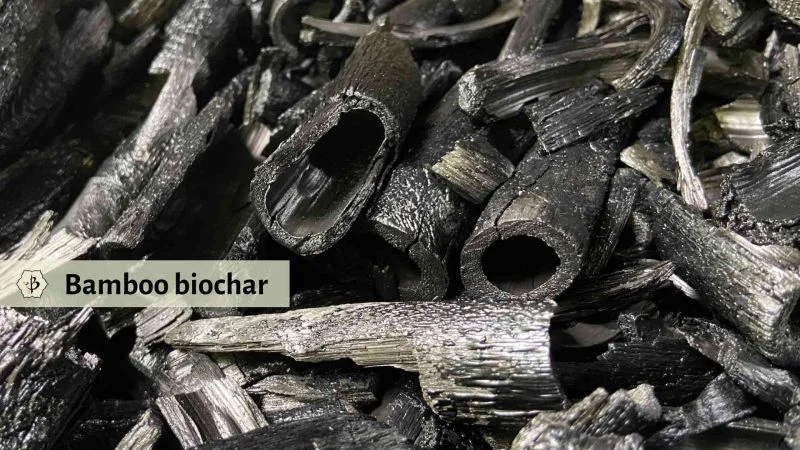 Charcoal