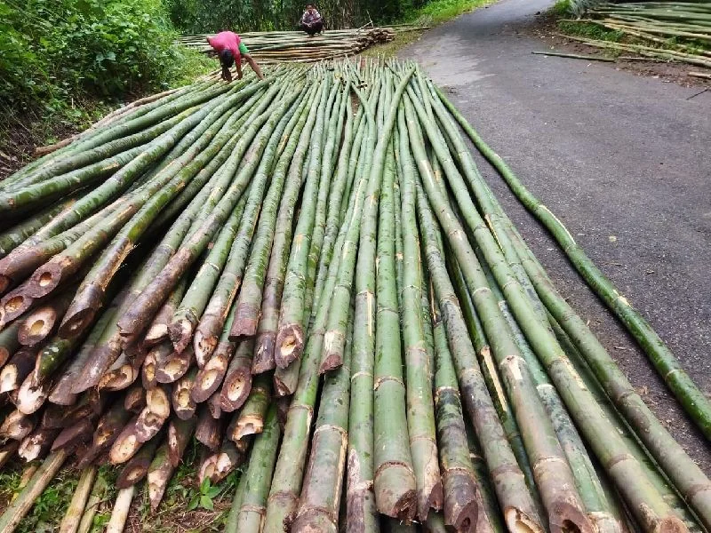 Bamboo basket