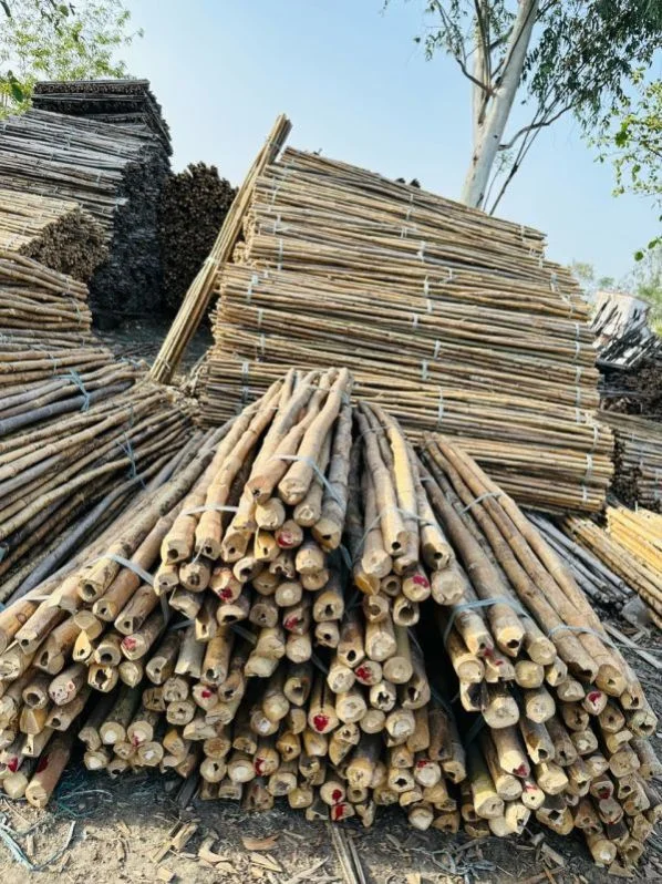 Bamboo furniture