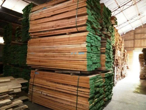 Beach Wood Log