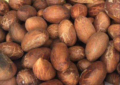 Bitter Kola Nut (Gracinia Kola)