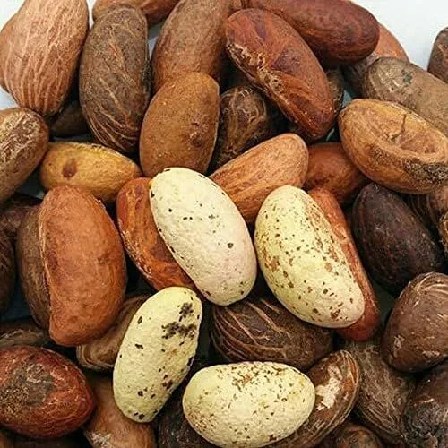 Bitter kola nuts