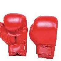 Head Guards
