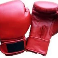 Boxing Speed Ball