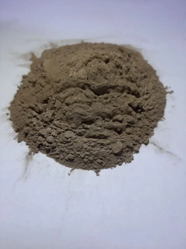 Onion Powder