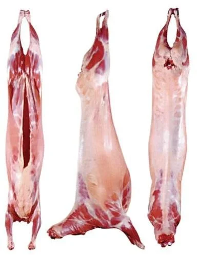 Lamb