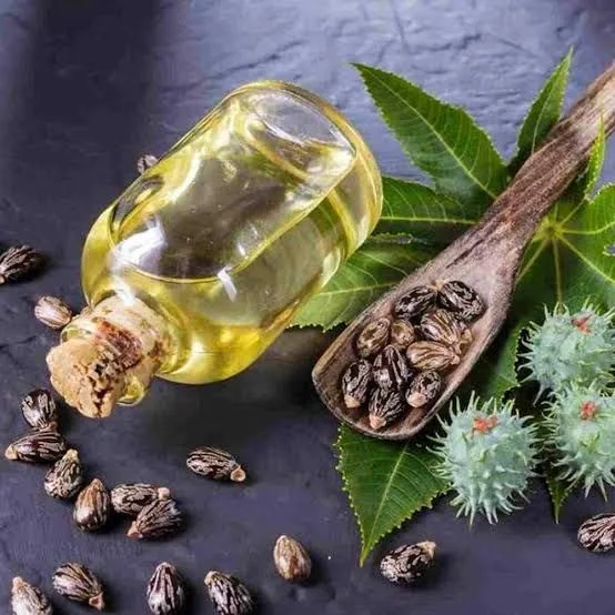 Castor oil seeds cake