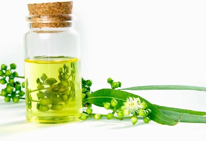 Vital Corn Oil / Private Label Available
