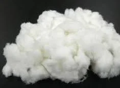 Coir Fiber