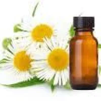 Chamomile Oil
