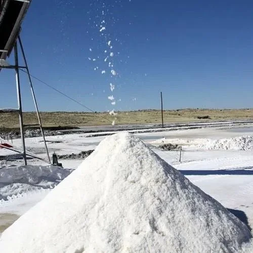 Construction Chemicals