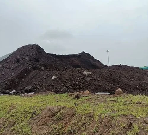 RB1 Coal