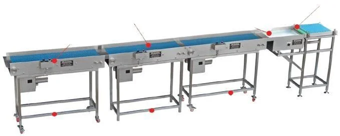 Material (fertilizer) Belt Conveyor