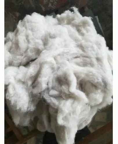 Cotton Bags