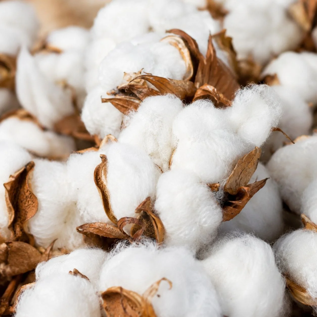 Cotton Towels