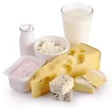 BACTA CULT Dairy