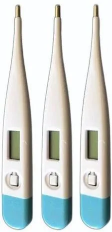Digital Oral Thermometer