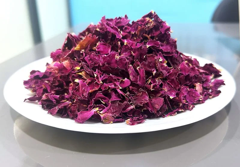 Batchelor's- Button, Petals, Dried