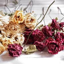 Dried Lotus Petal Flower