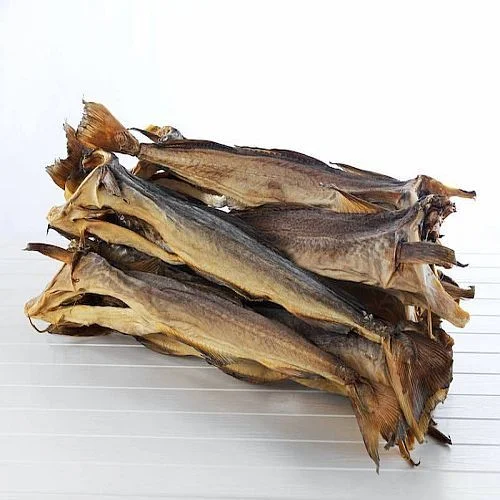 Dried Cuttle Fish Bone