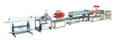 Tissue culture Teakwood plant