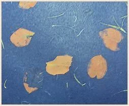 Chamex Copy Paper