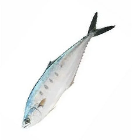 Solar Dried Fish