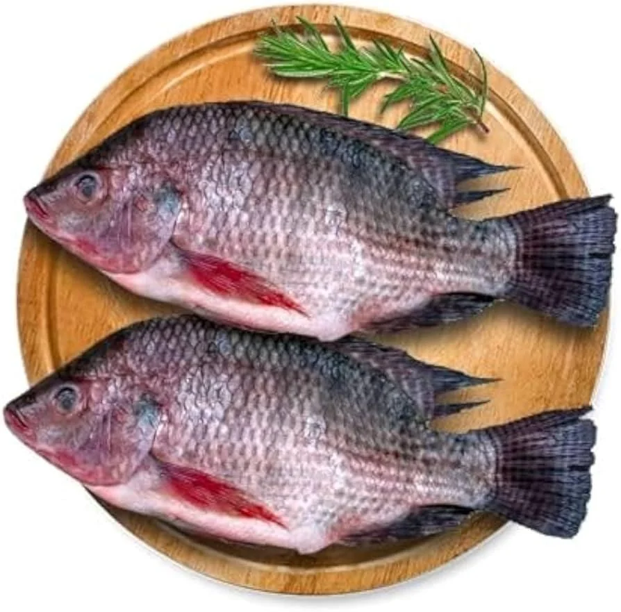 Pangasius whole round