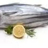 Yellowtail Kingfish