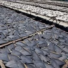 whole cleaned Mackerel fresh