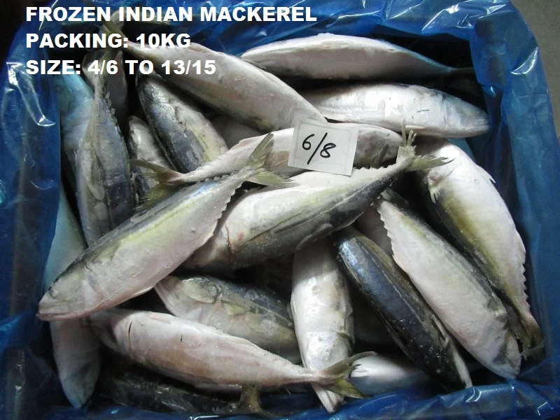 Canned Tuna Fish