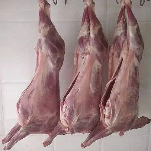 Frozen & Chilled Mutton