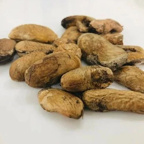 RAW ORGANIC FLAXSEED FOR SALE