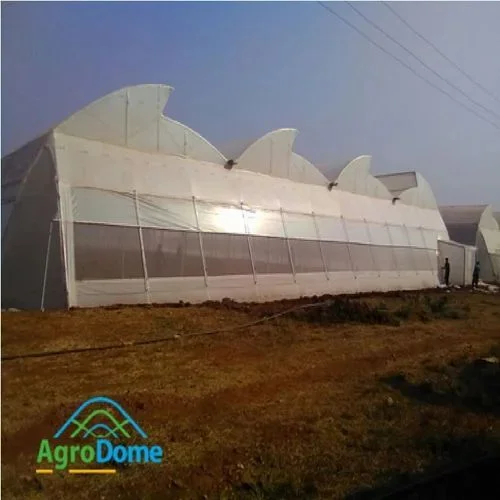 PMMA Greenhouse Panels Transparent