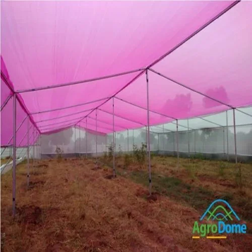 Gothic plastic film multi-span greenhouse