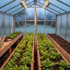 The semi-pc boards greenhouse model PG0015