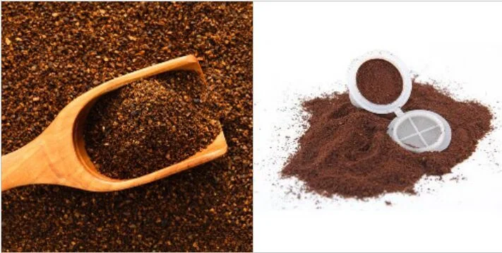 Coffee Bean