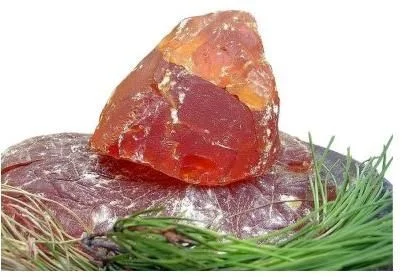 Cassia Gum Powder