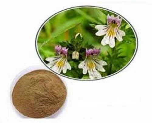 Curcumin Extract