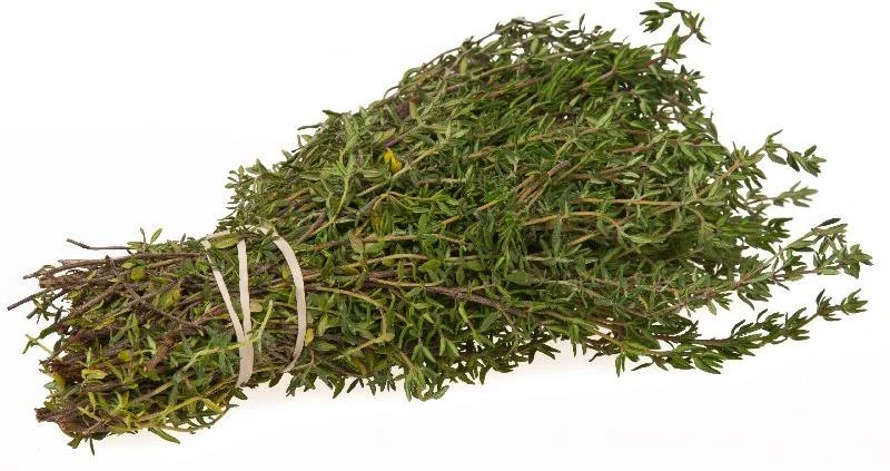 Dried Leaf  Taraxacum Officinale