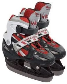 Detachable in-line Skates