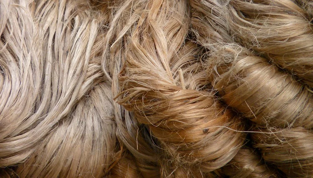 Coconut Fiber