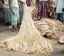 Para-aramid pulp