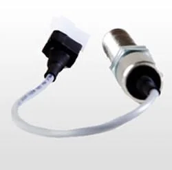 Permanent Magnetic Rotors